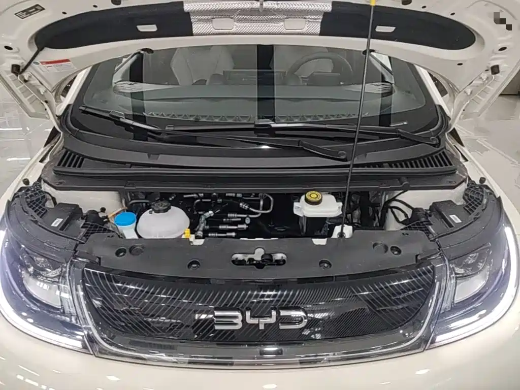 BYD Dolphin 2026 2025 420km Freedom Edition