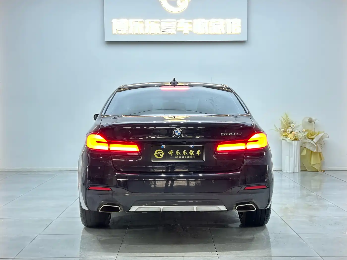BMW 5 Series 2023 530Li Leading M Sport Package фото 6