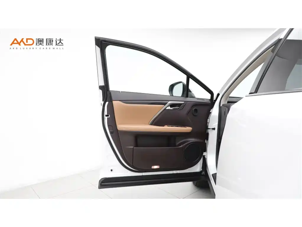 Photo 10 - Lexus RX