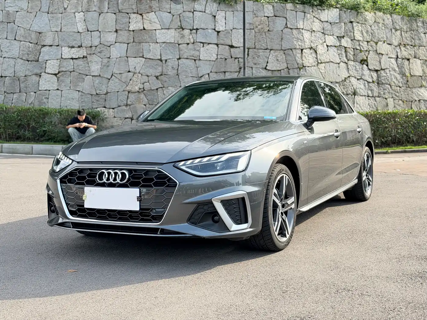 Audi A4L 2020 40 TFSI Luxury Elegance