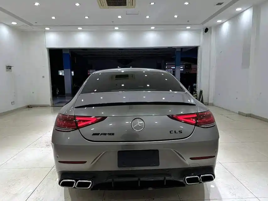 Mercedes-Benz CLS 2021 CLS 300 Luxury фото 8