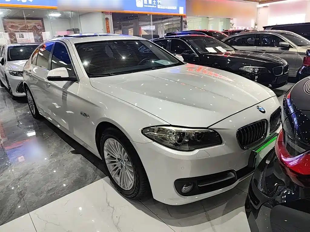 BMW 5 Series 2014 525Li Leading фото 4