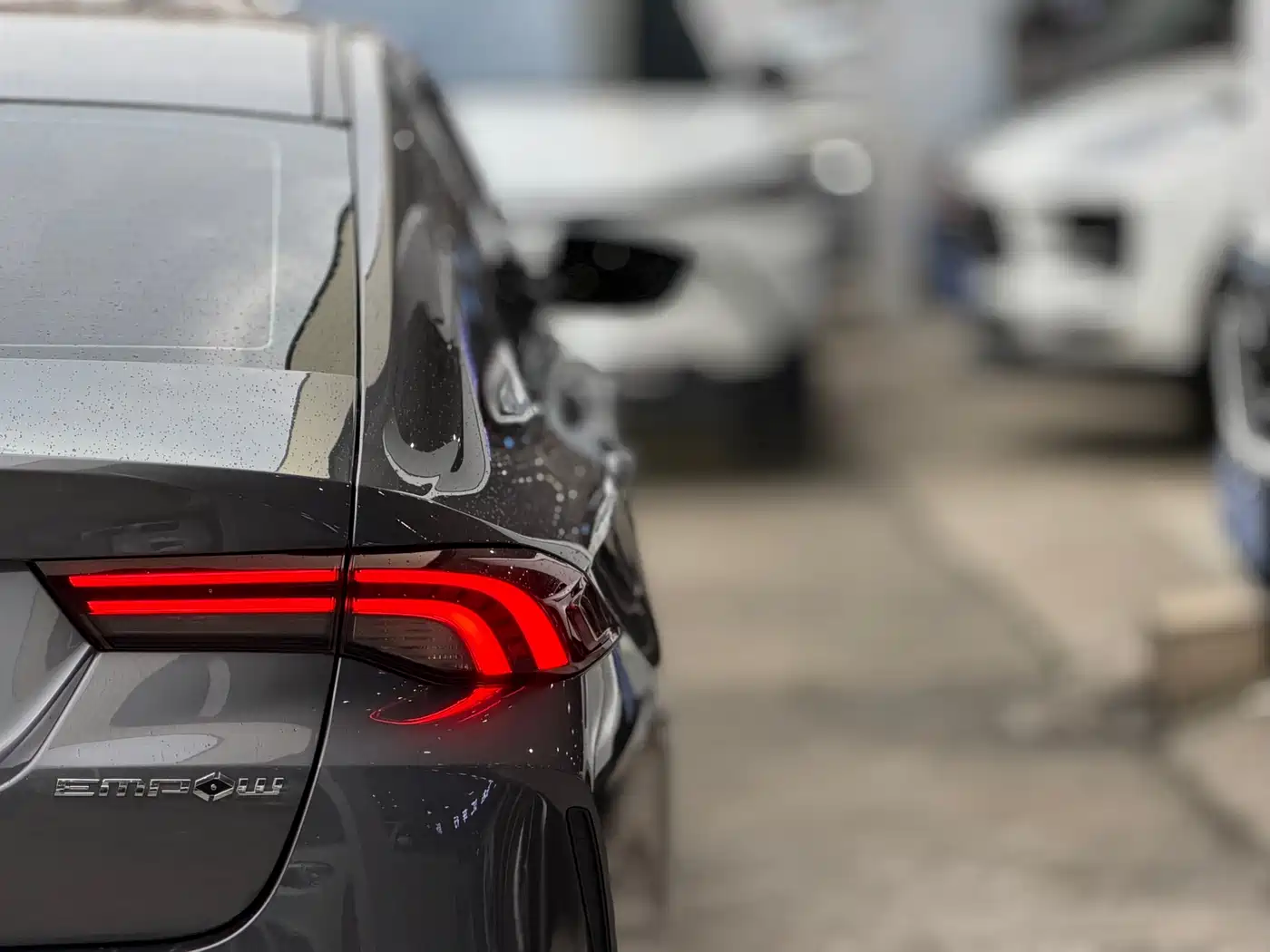 GAC TRUMPCHI SHADOW LEOPARD
