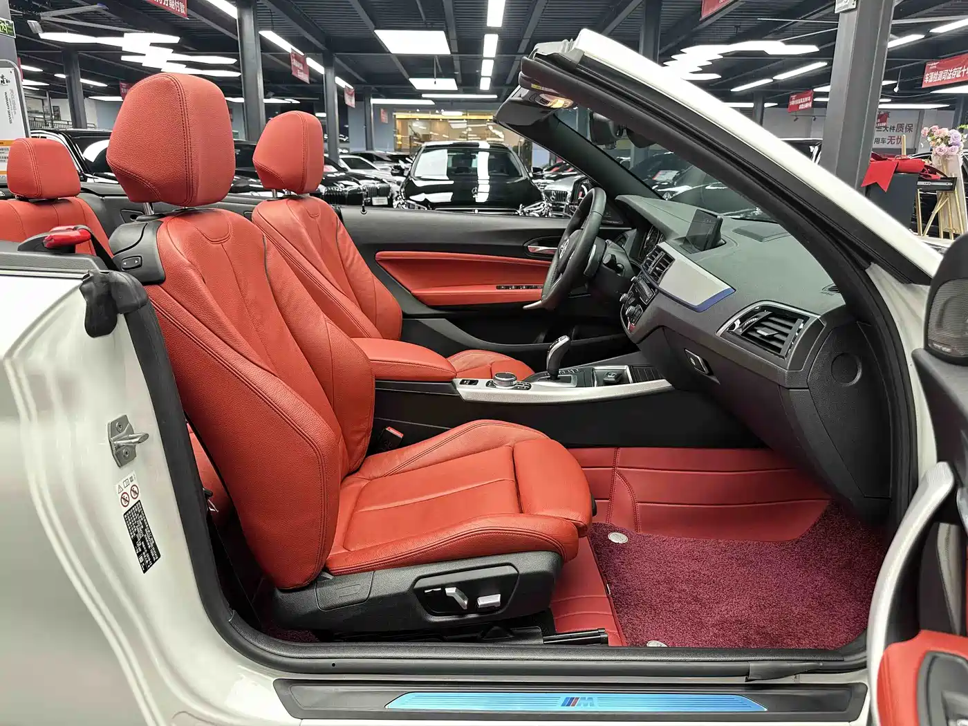 BMW 2 Series (Import) 2019 225i Convertible Coupe Exclusive M Sport Package фото 8