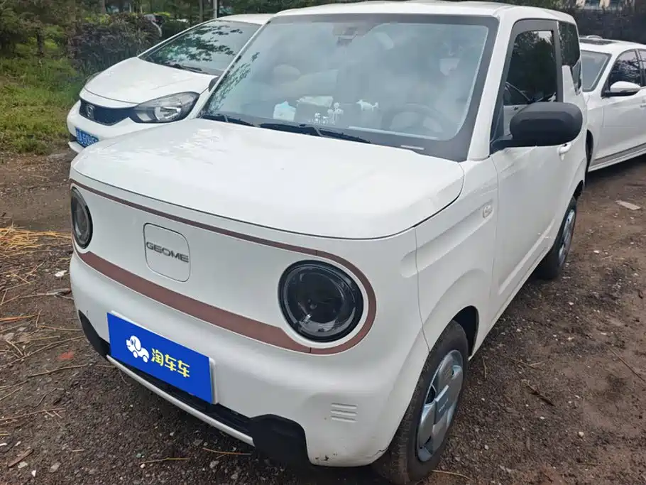 Geely Galaxy Panda 2024