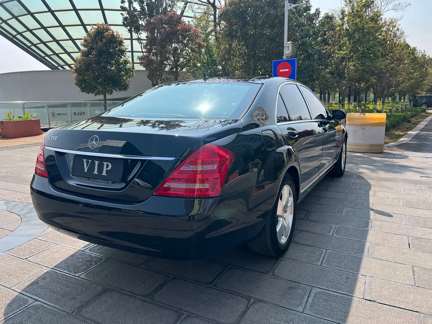 Mercedes-Benz S-Class 2010 S 350 L Luxury фото 15