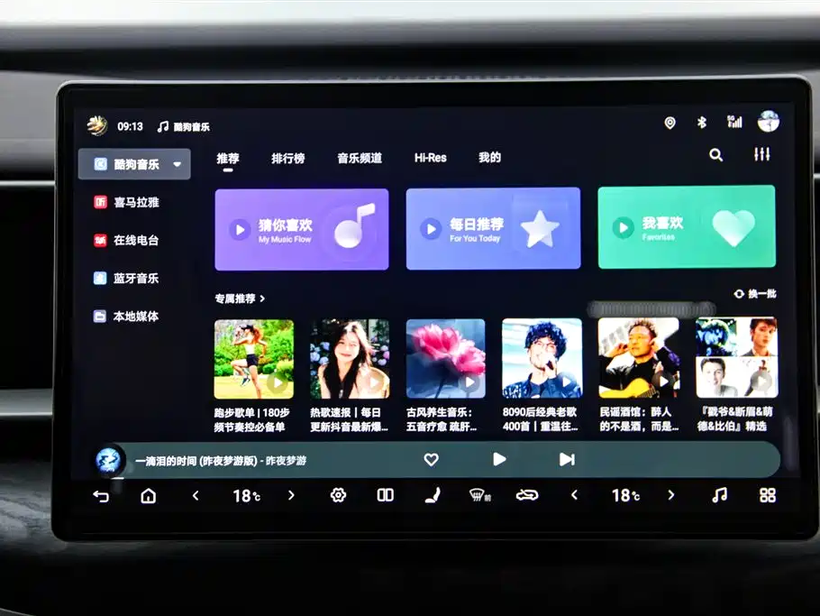 Denza D9 2025 2024 DM-i 1050 Premium