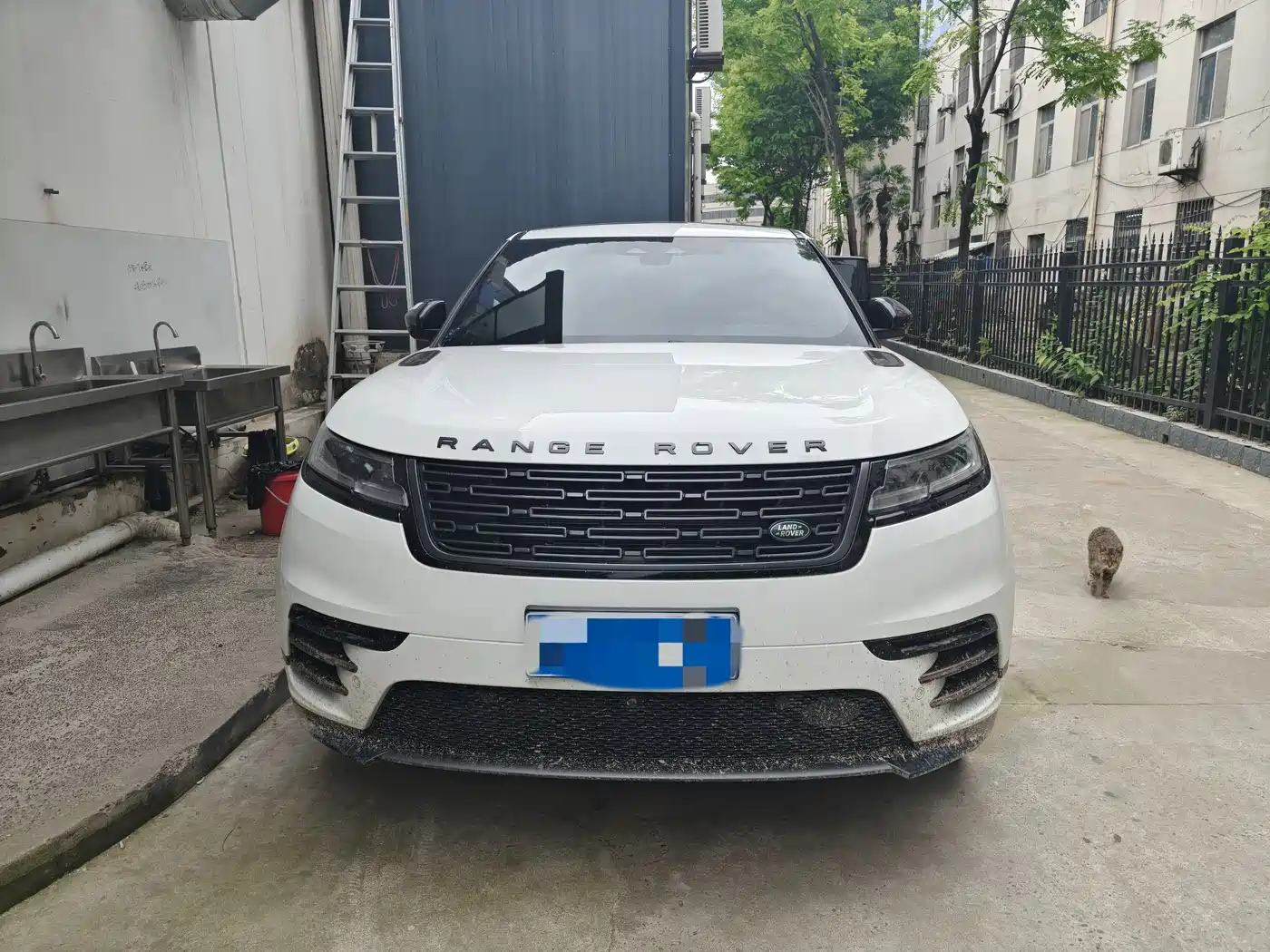 Land Rover Range Rover Velar 2024 Dynamic HSE фото 2
