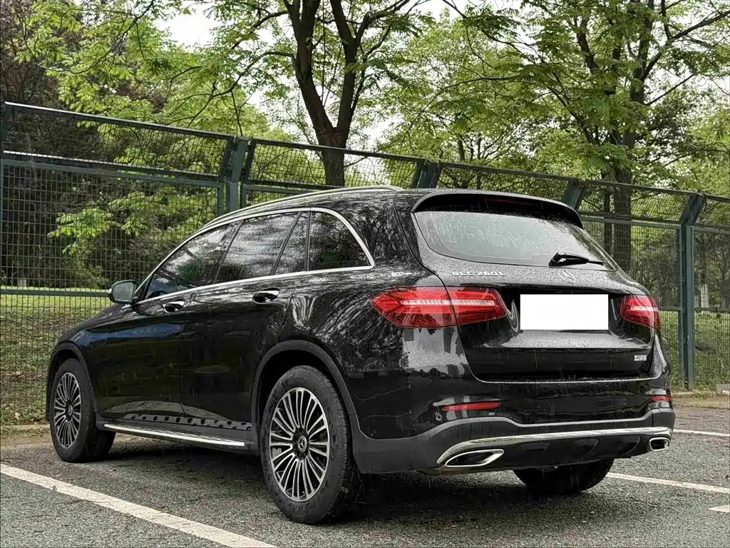 Mercedes-Benz GLC 2019 GLC 260 L 4MATIC Dynamic фото 10