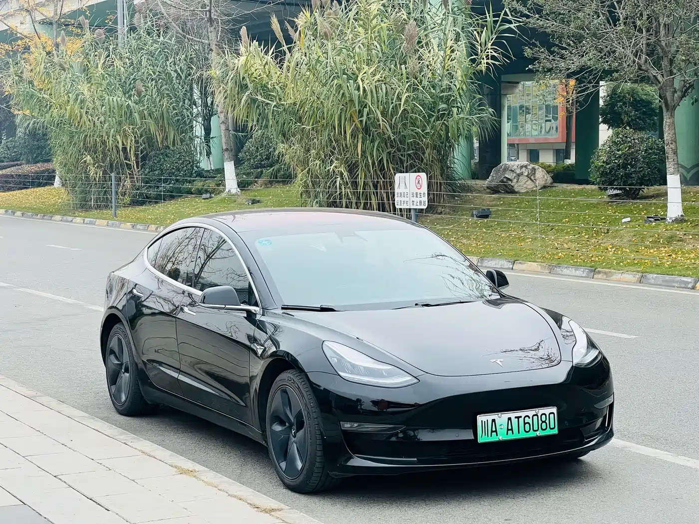 TESLA MODEL 3 (IMPORTED)