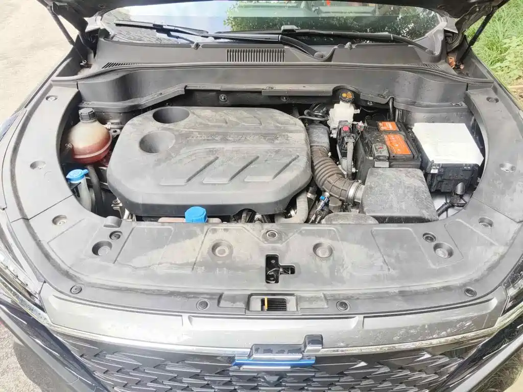 Changan Oshan Z6 2024 2023 Blue Whale 1.5T DCT Smart Cool Edition