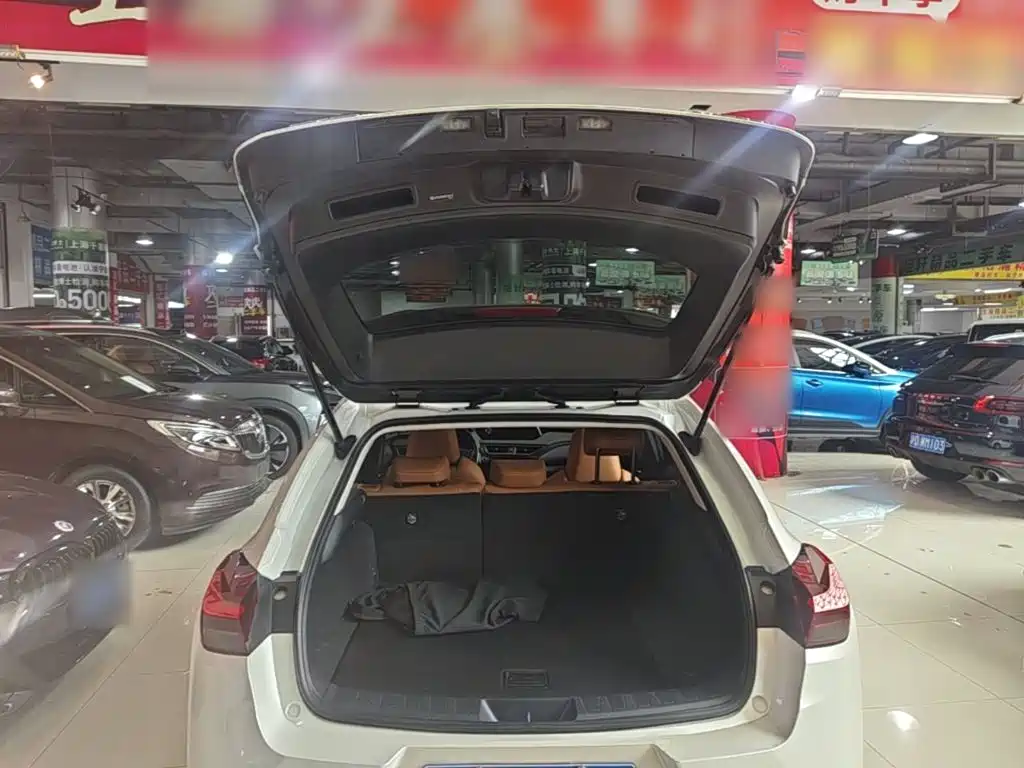 Lexus UX 2022 2020 260h Explore Fun Edition