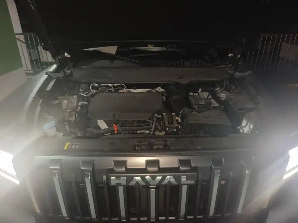 Haval Menglong 2025 2025 2.0T 4WD Pro