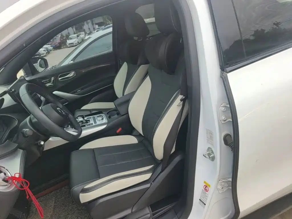 Denza X 2020 2020 PHEV Sport Edition