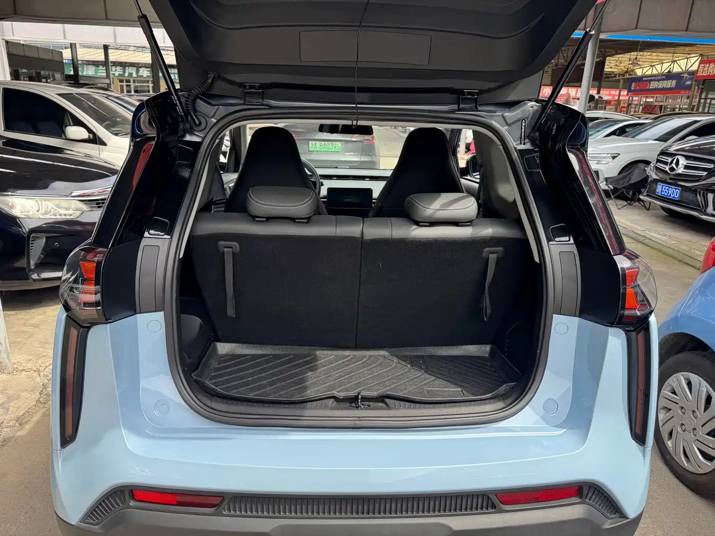 Chery New Energy Chery Wujie Pro 2023 2022 301km Mythical Beast Edition LFP