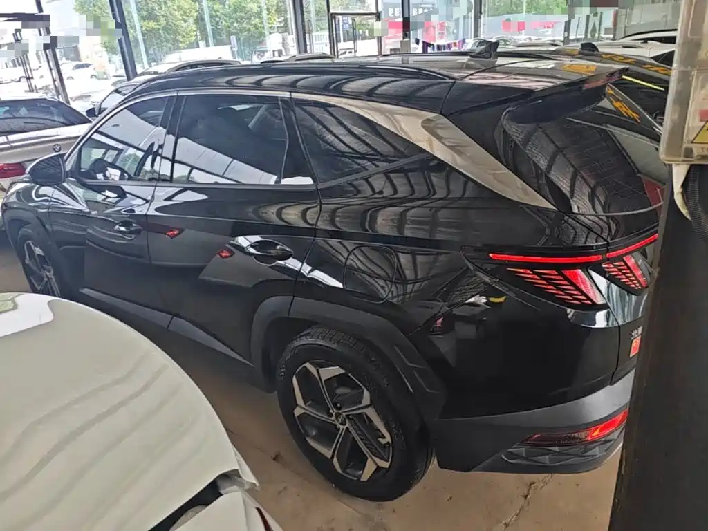 Hyundai Tucson 2024 2023 Tucson L 1.5T Automatic 2WD DLX Luxury Edition