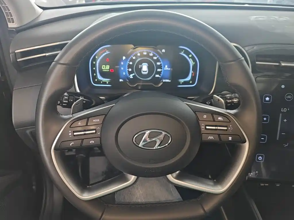 Hyundai Tucson 2024 2023 Tucson L 1.5T Automatic 2WD DLX Luxury Edition