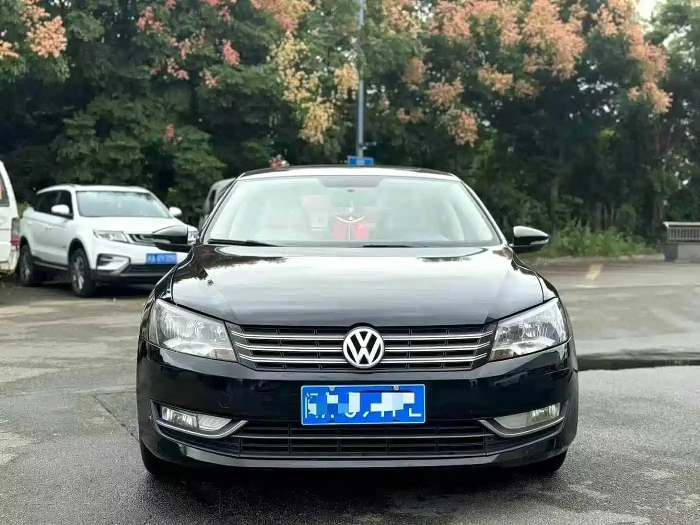 Volkswagen Passat 2011 1.8TSI DSG Honor Edition фото 2
