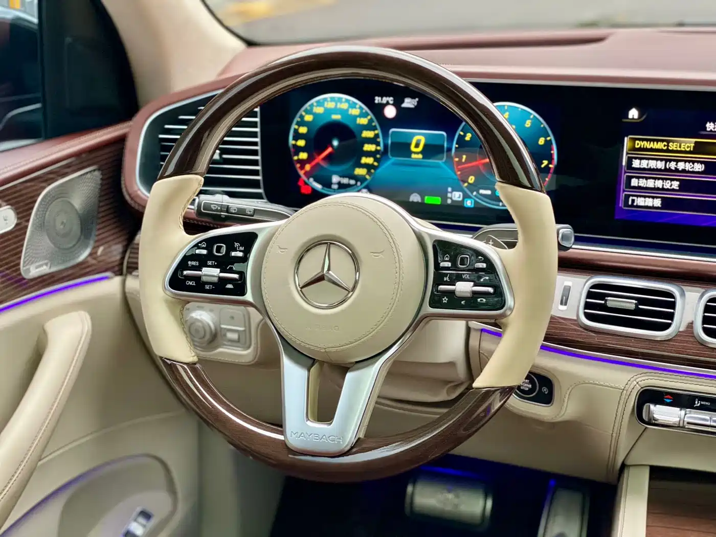 Mercedes-Benz Maybach GLS 2021 GLS 480 4MATIC фото 17