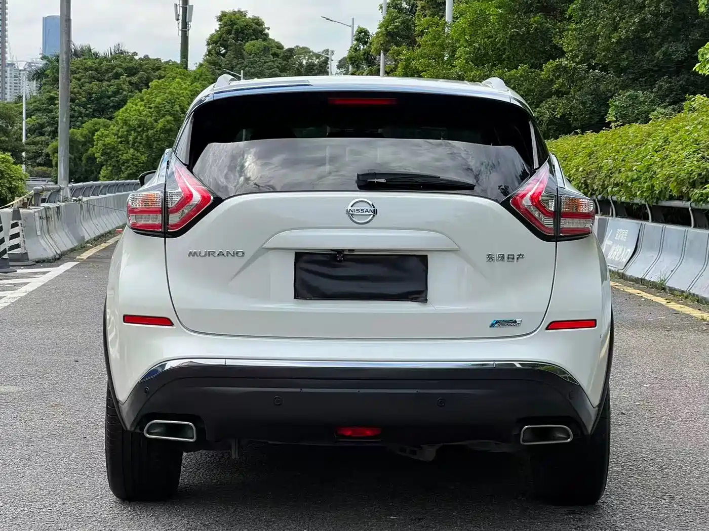Nissan Murano 2020 2019 2.5L XL 2WD Smart Connect Luxury Edition (China VI)