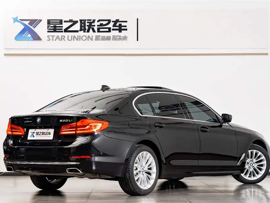 BMW 5 Series 2020 530Li Premium Luxury Package фото 7