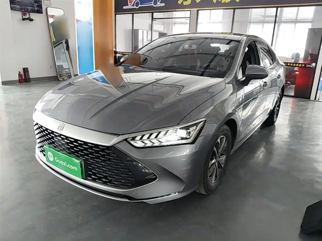 BYD Qin PLUS 2024 Glory Edition DM-i 55KM Leading фото 2