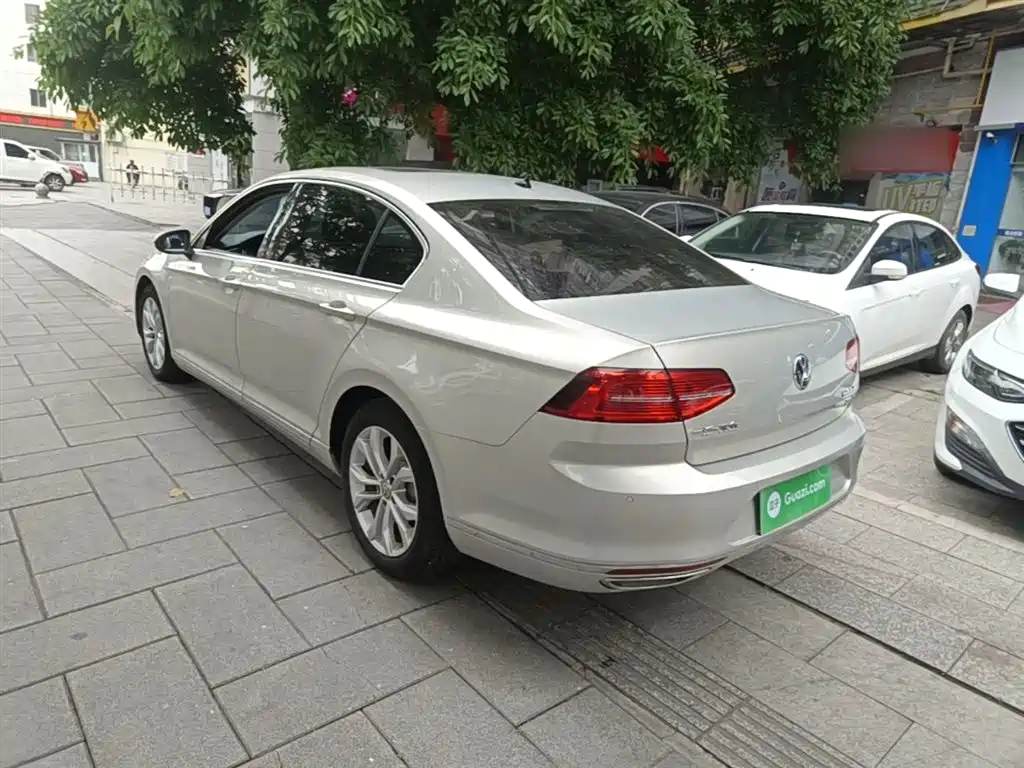 Volkswagen Magotan 2019 330TSI DSG Luxury Class China VI фото 5