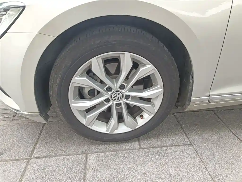 Volkswagen Magotan 2019 330TSI DSG Luxury Class China VI фото 23