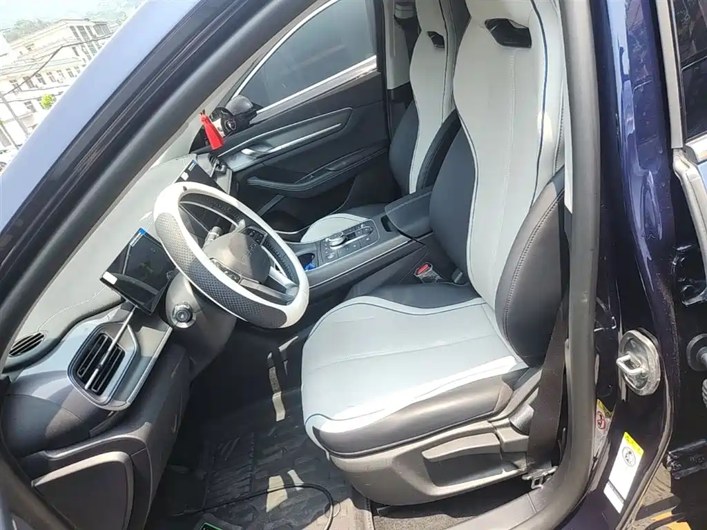 BYD Destroyer 05 2024 Glory Edition DM-i 55KM Luxury фото 15