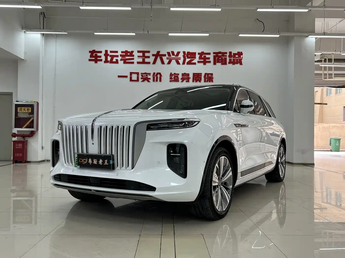 Hongqi HONGQI E HS9