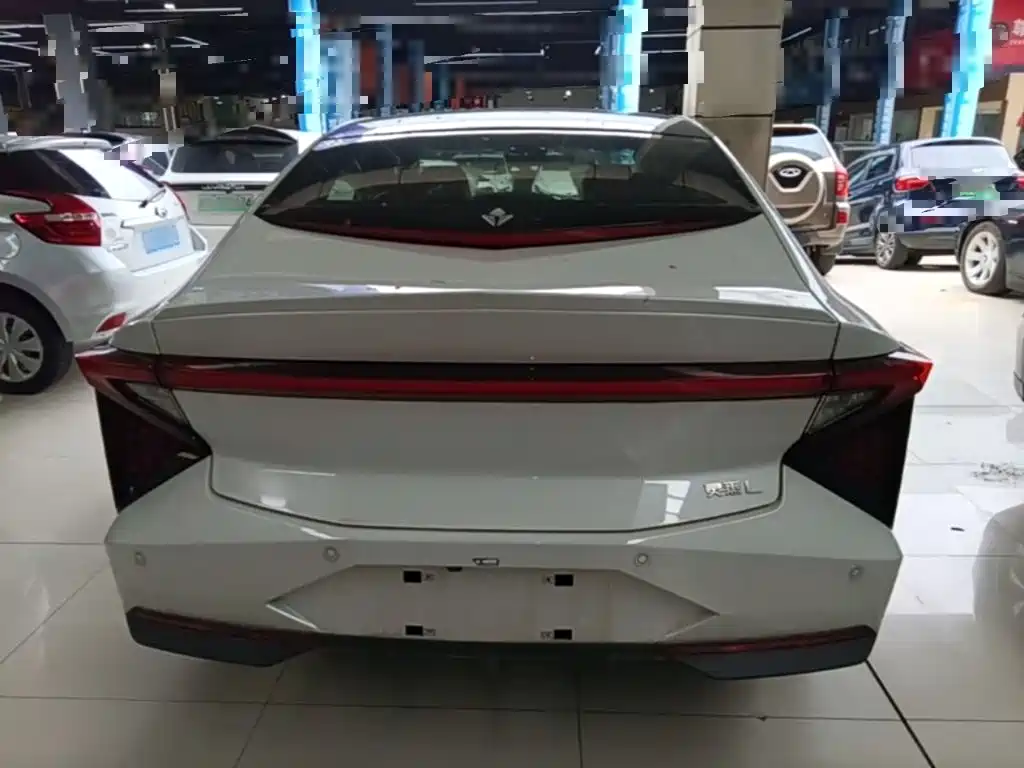 Lingxi L 2026 2024 Top Player Edition