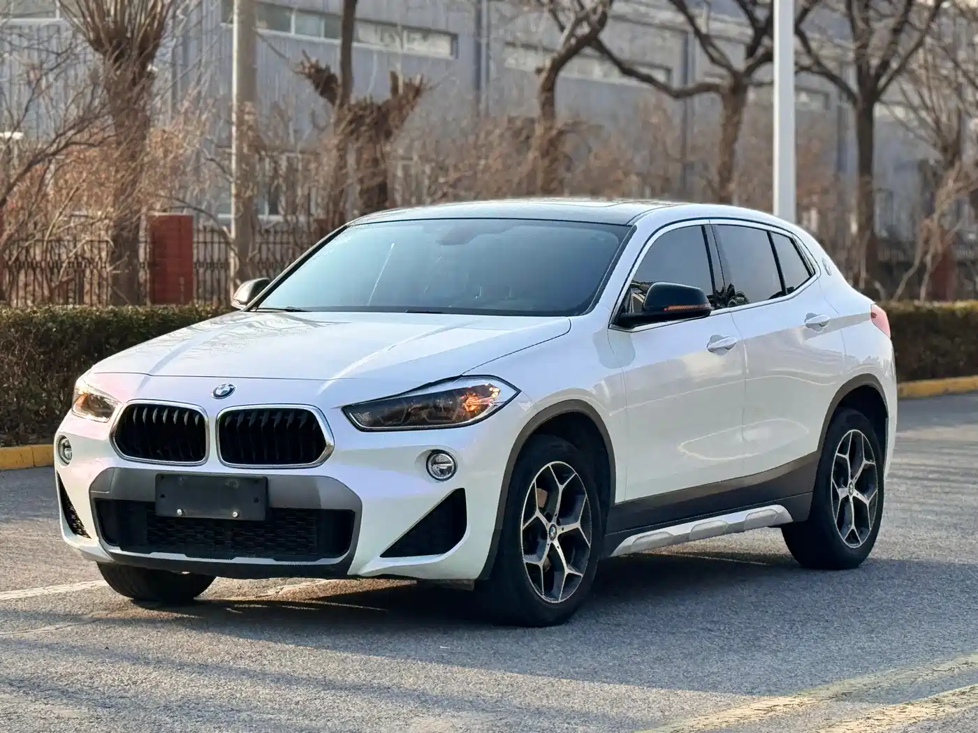 BMW X2 (Import) 2019 sDrive20i M Off-Road Package China VI фото 4