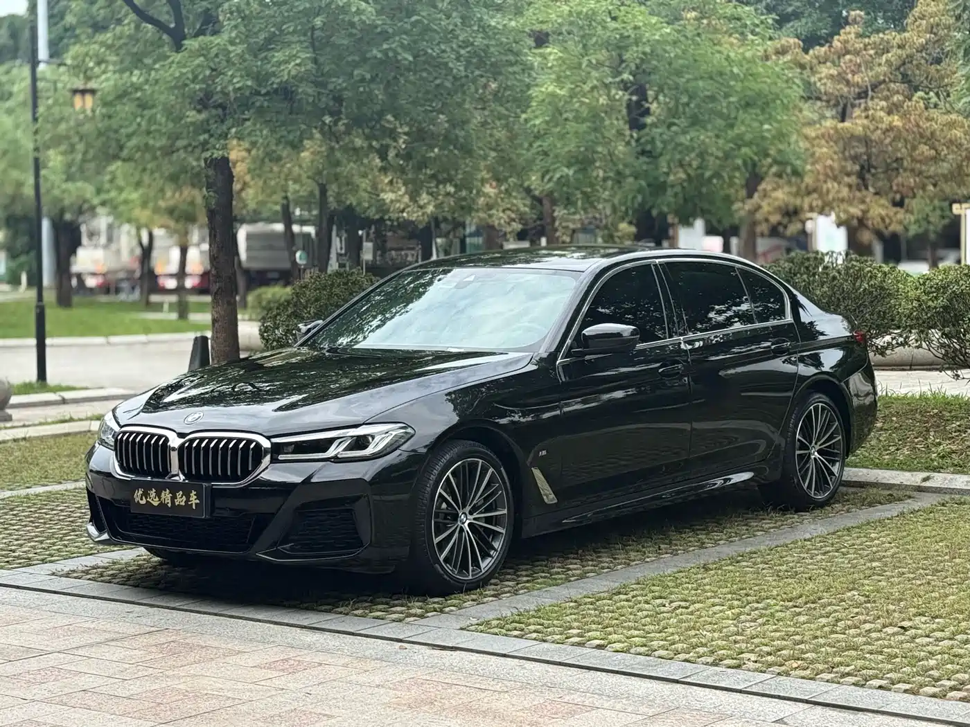BMW 5 Series 2022 530Li Leading M Sport Package