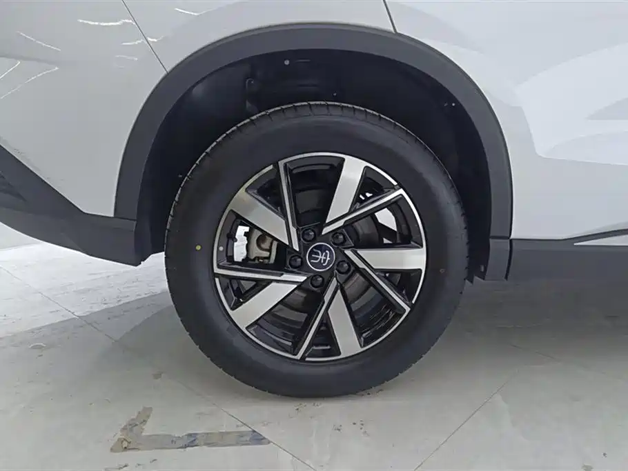 BYD SONGJIANG NEW ENERGY