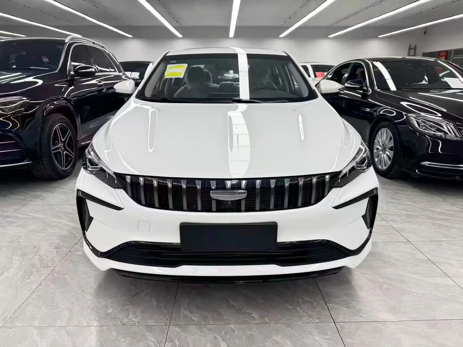 Фото 2 - Geely Binrui