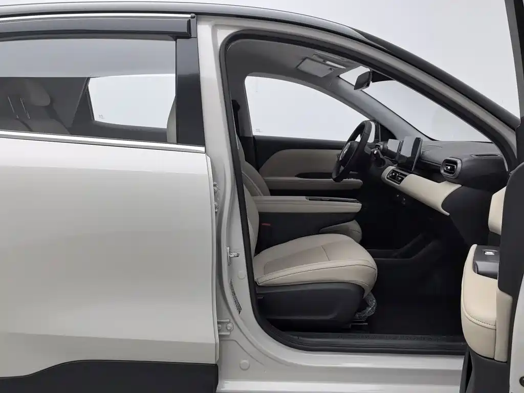 Wuling Motors Wuling Binguo PLUS 2025 2024 510km Range 5-seater