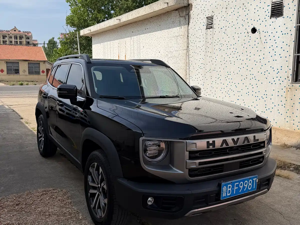 HAVAL BIG DOG