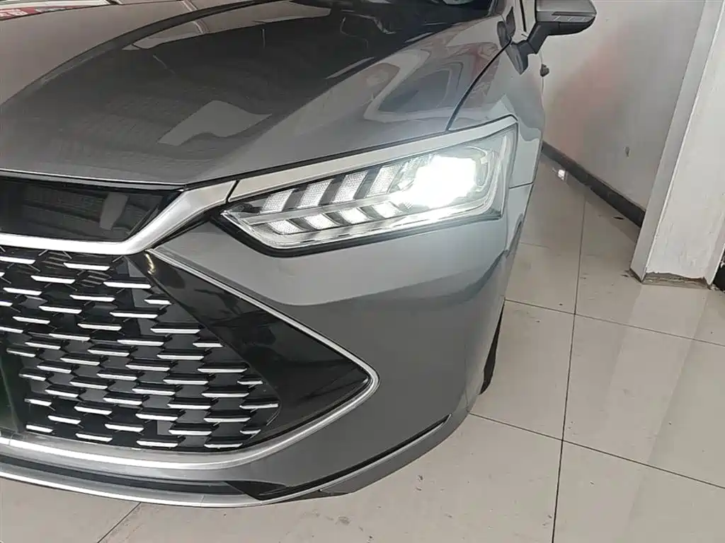 BYD Qin PLUS 2023 Champion Edition DM-i 55KM Leading фото 24