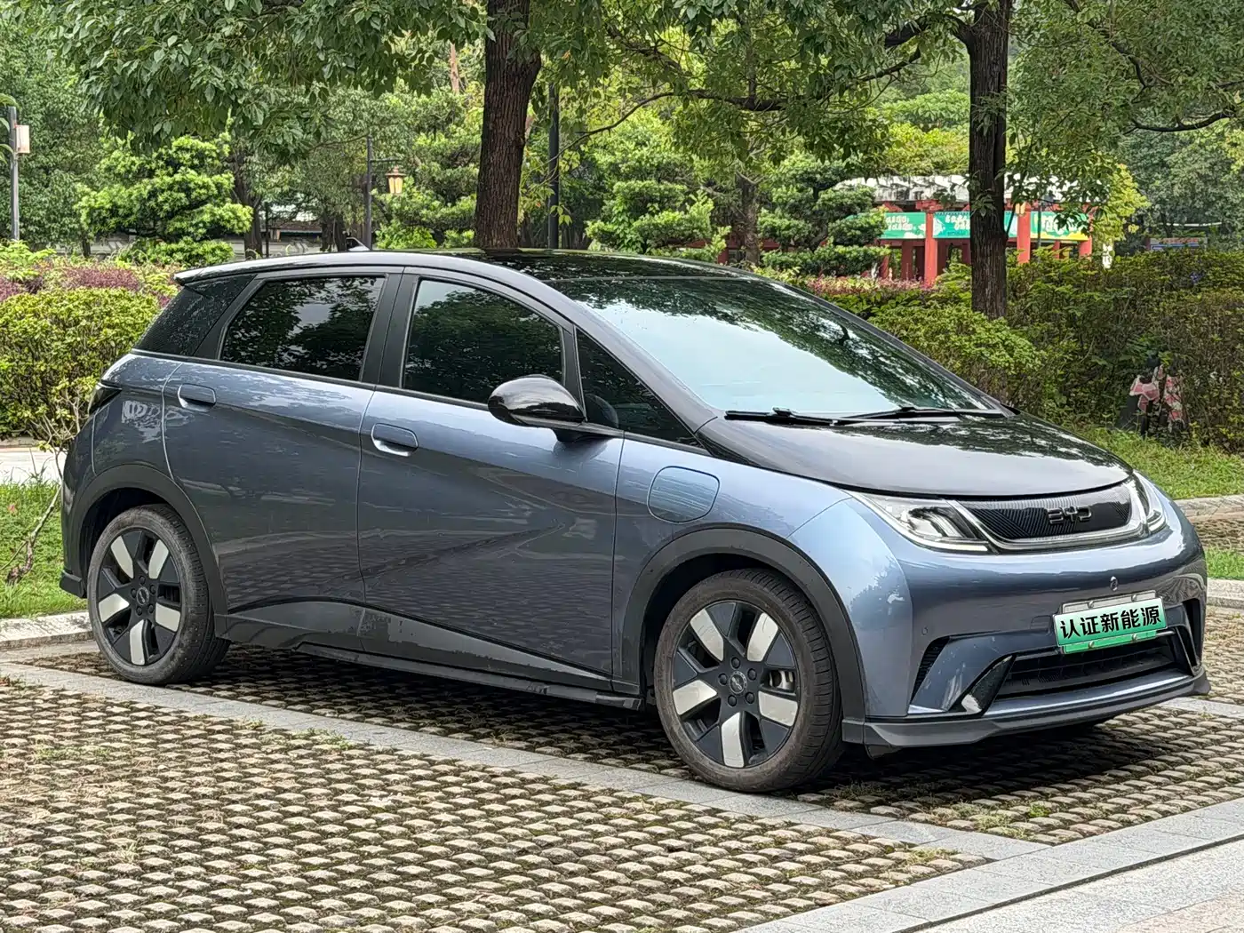 Фото 3 - BYD Dolphin