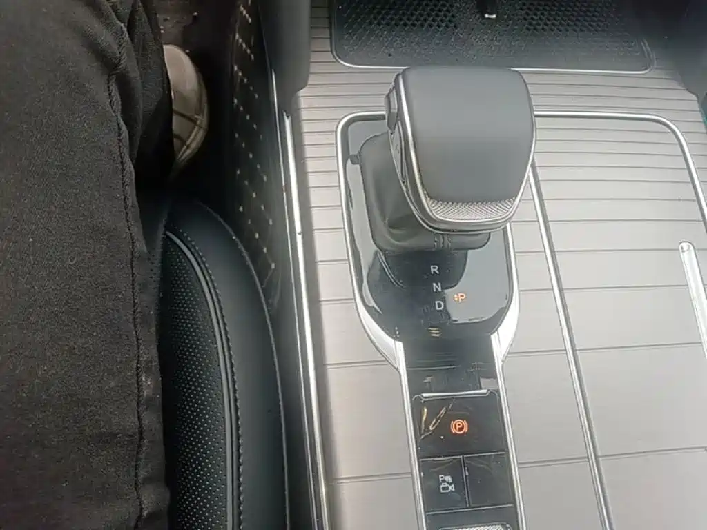 Photo 14 - Hongqi HS7 PHEV