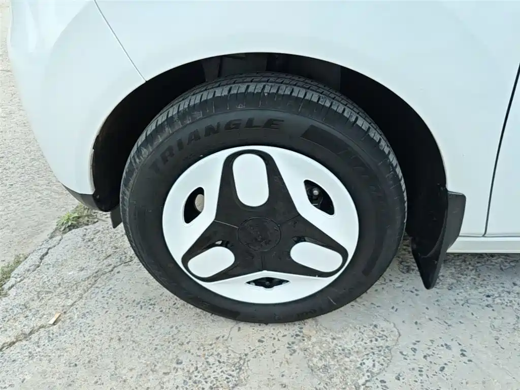 Geely Galaxy Panda 2025 Panda mini 210km Vitality Bear фото 22