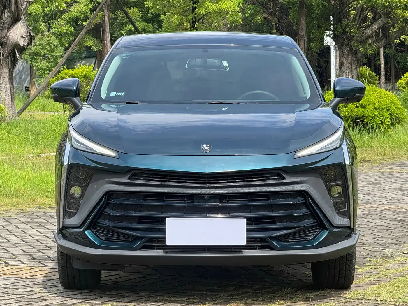 Dongfeng Fengxing Fengxing T5 EVO 2023 2024 1.5TD DCT Starry Sky Edition