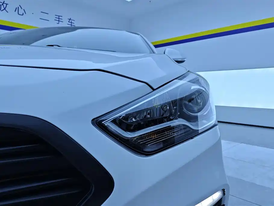 HYUNDAI NAME PICTURE