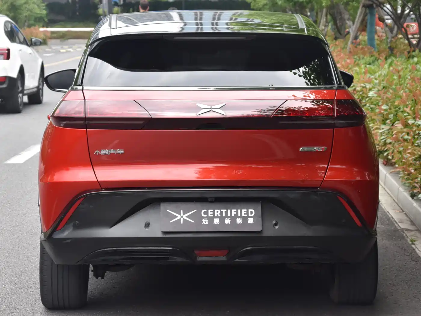 XPeng G3 2019 Smart Enjoyment Edition фото 7
