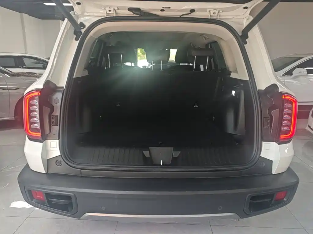 Haval Big Dog 2025 2024 1.5T DCT Border Collie Edition