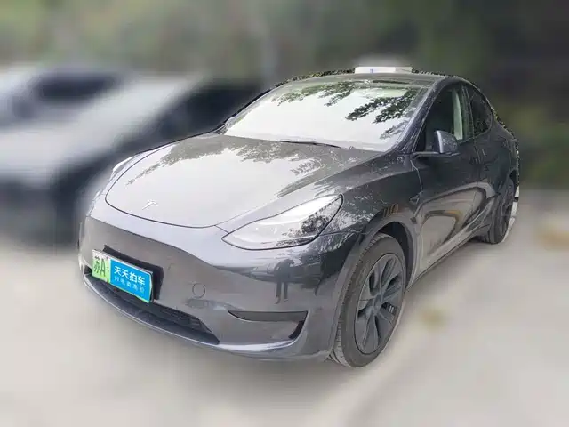 Tesla Model Y 2024 Rear-Wheel Drive Version — фото 1
