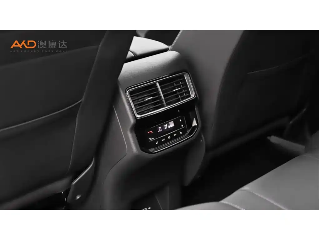 Volkswagen Teramont 2022 380TSI 4MOTION Premium Luxury фото 7