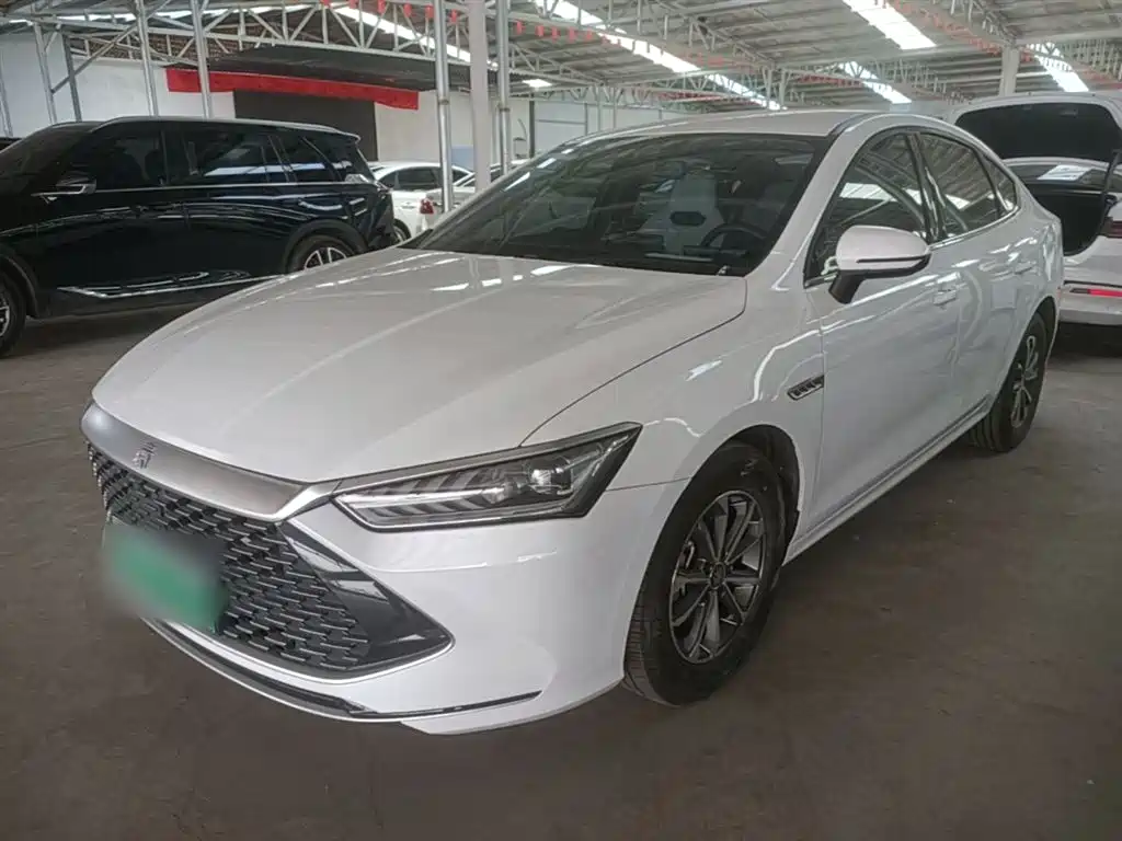 BYD Qin PLUS 2023 Champion Edition DM-i 55KM Leading фото 2