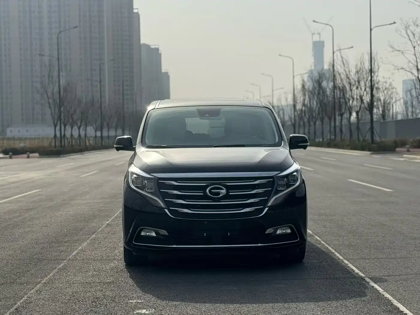 GAC Trumpchi Trumpchi M8 2018 320T Flagship Edition фото 2