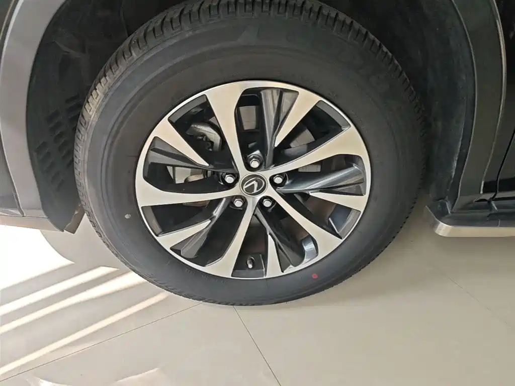 Lexus RX 2020 Facelift 300 2WD Elite Edition фото 23